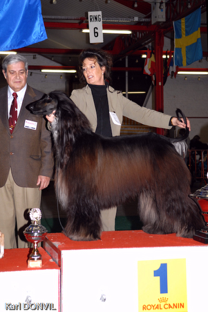 gal/Expo janvier 2007/KD1_0323.jpg